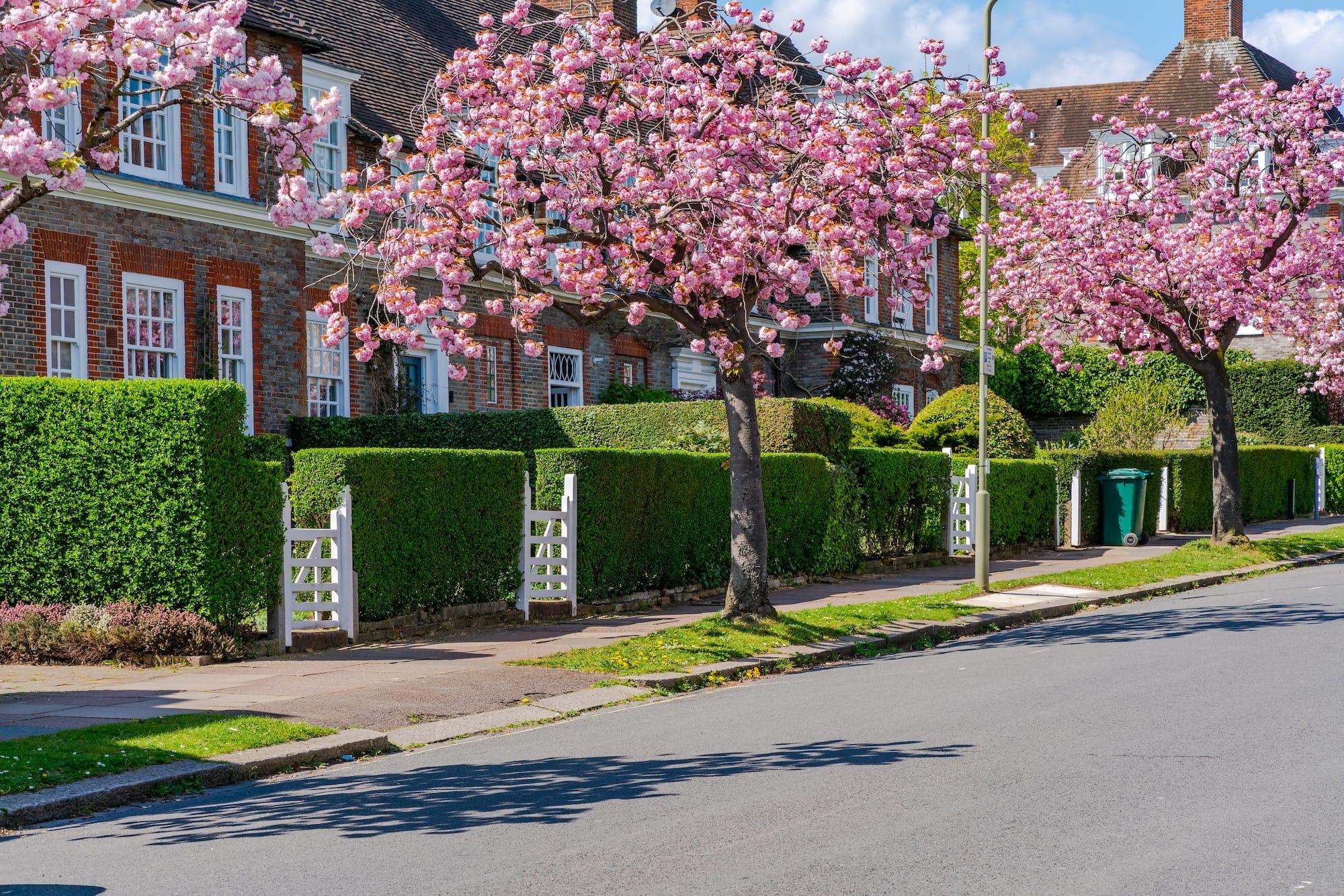 Housing Market Update: Average Asking Prices Reach Record High This Spring